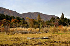 箱根湖尻水門付近の紅葉