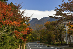 箱根湖尻水門付近の紅葉