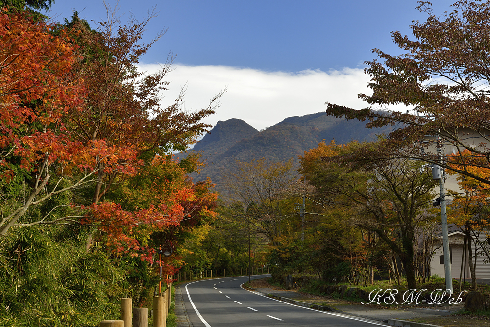 箱根湖尻水門付近の紅葉