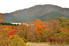 箱根ビジターセンター付近の紅葉