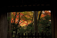 箱根仙石原長安寺の紅葉