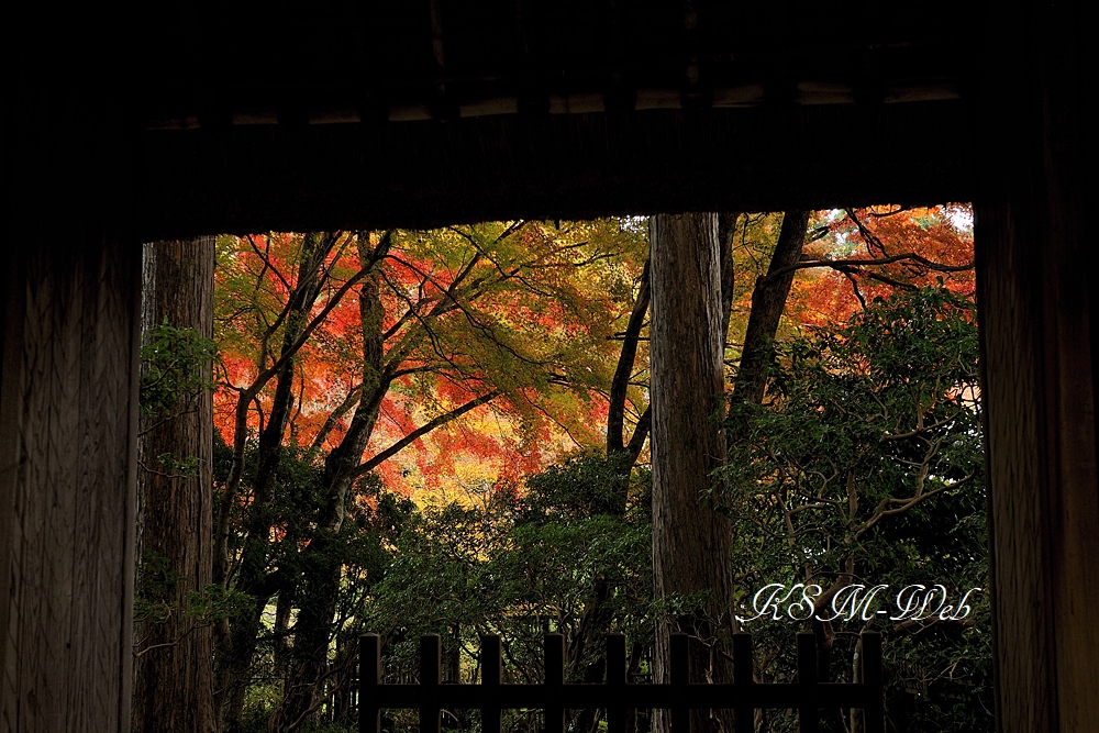 箱根仙石原長安寺の紅葉