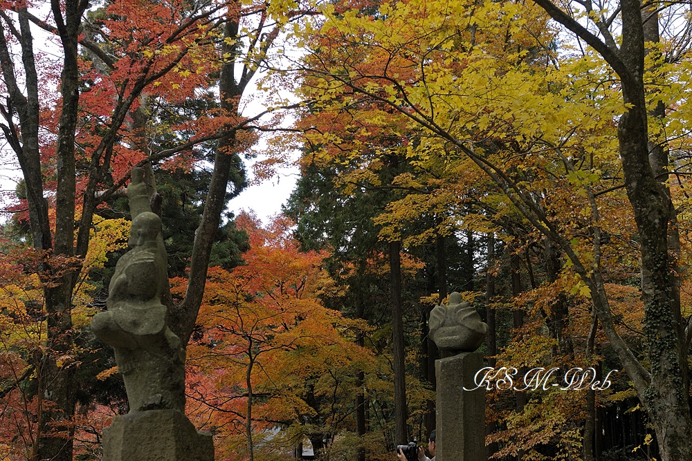 仙石原長安寺五百羅漢と紅葉