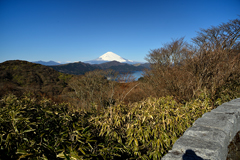 箱根大観山付近の天閣台からの富士山