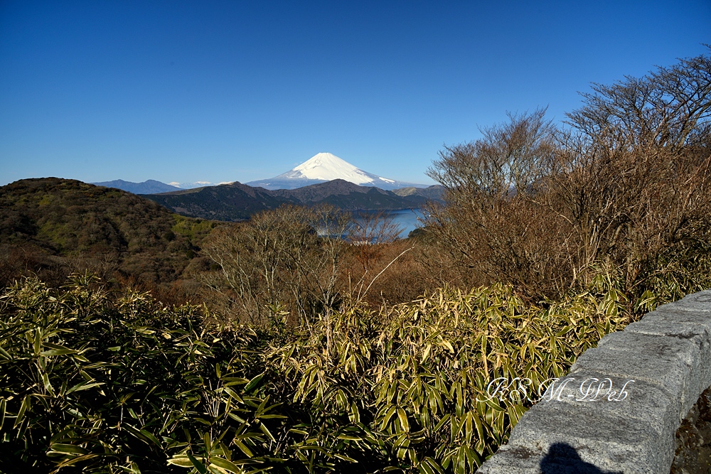 箱根大観山付近の天閣台からの富士山