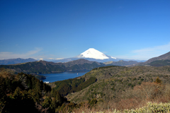 箱根大観山からの富士山