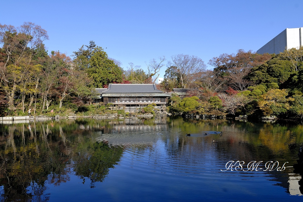 三島楽寿園小浜池と楽寿館