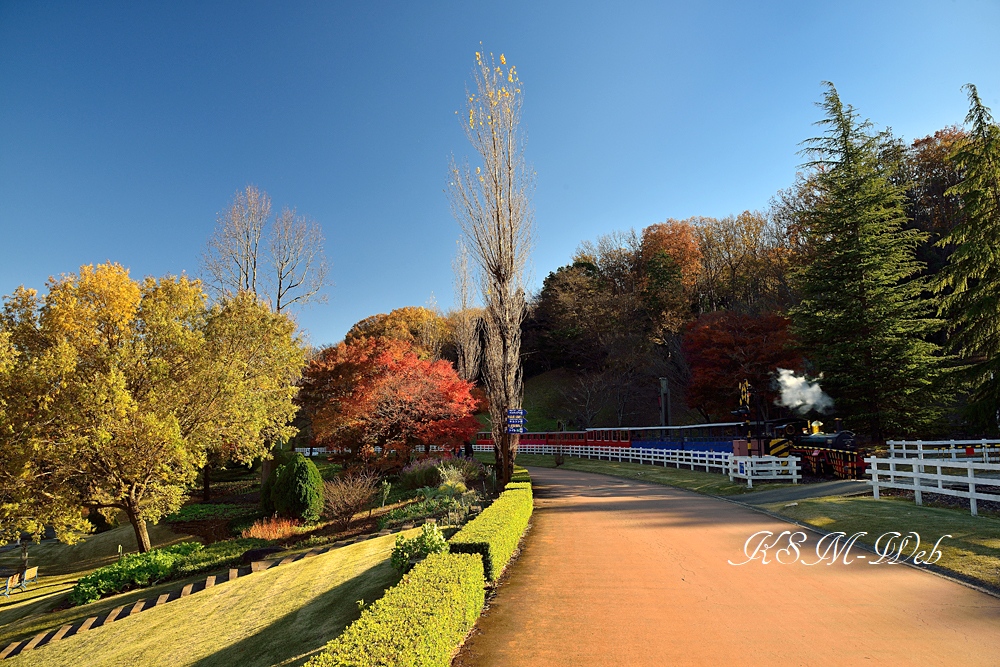 虹の郷の紅葉