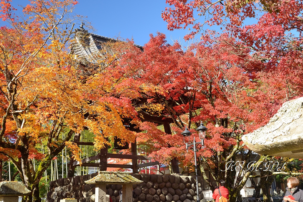 修禅寺の鐘楼堂の紅葉