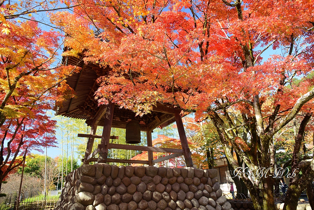 修禅寺の鐘楼堂の紅葉