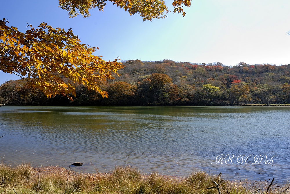 八丁池の紅葉