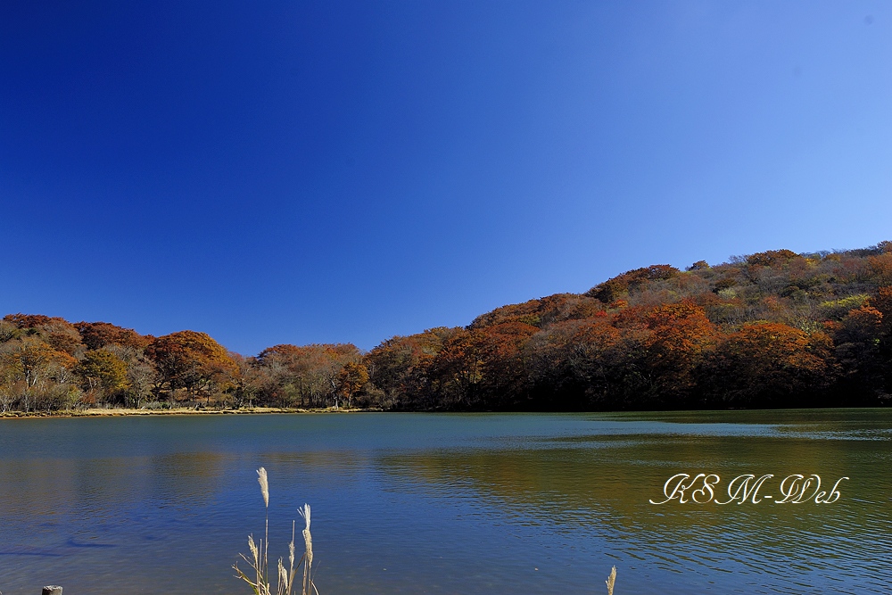 八丁池の紅葉