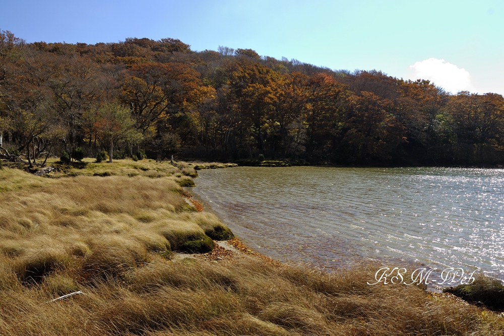 八丁池の紅葉