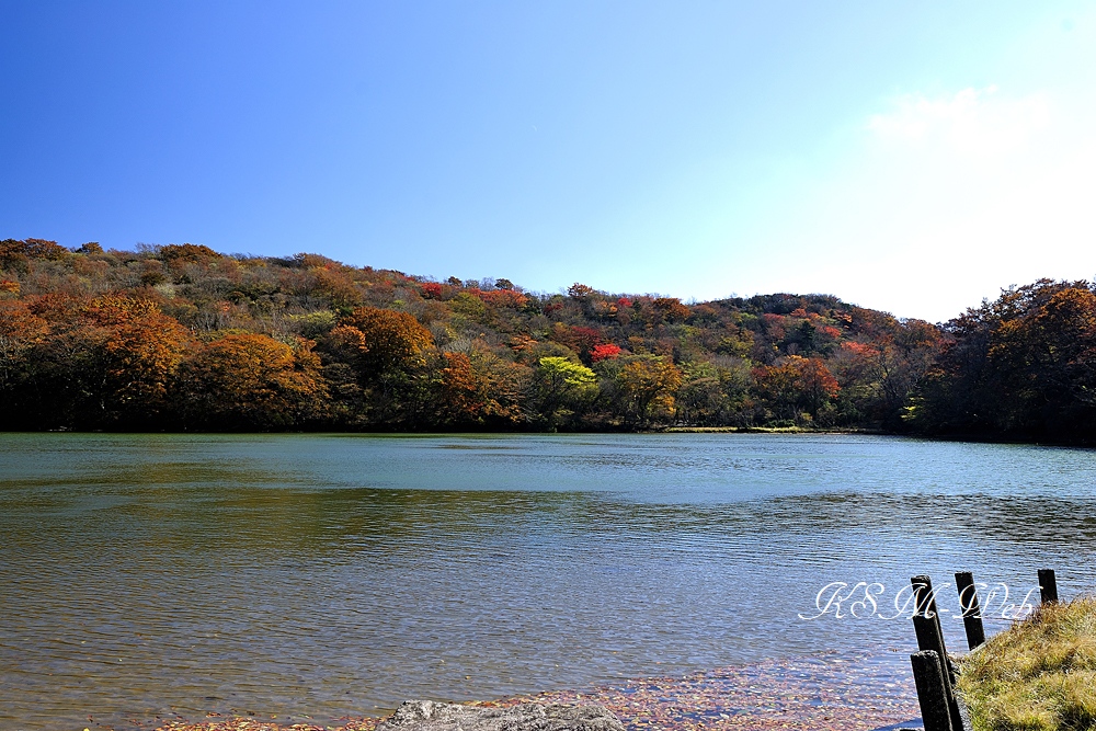 八丁池の紅葉