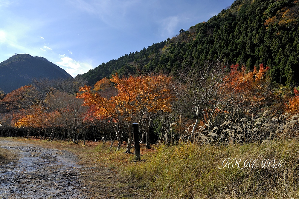 滑沢渓谷周辺の紅葉