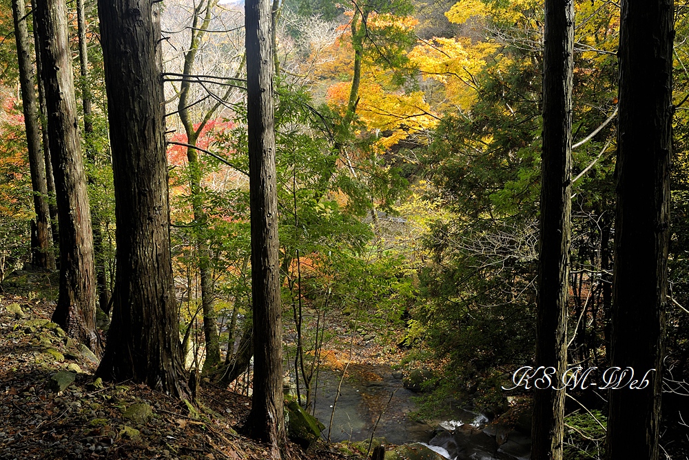 滑沢渓谷の紅葉