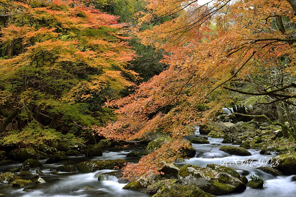 滑沢渓谷の紅葉