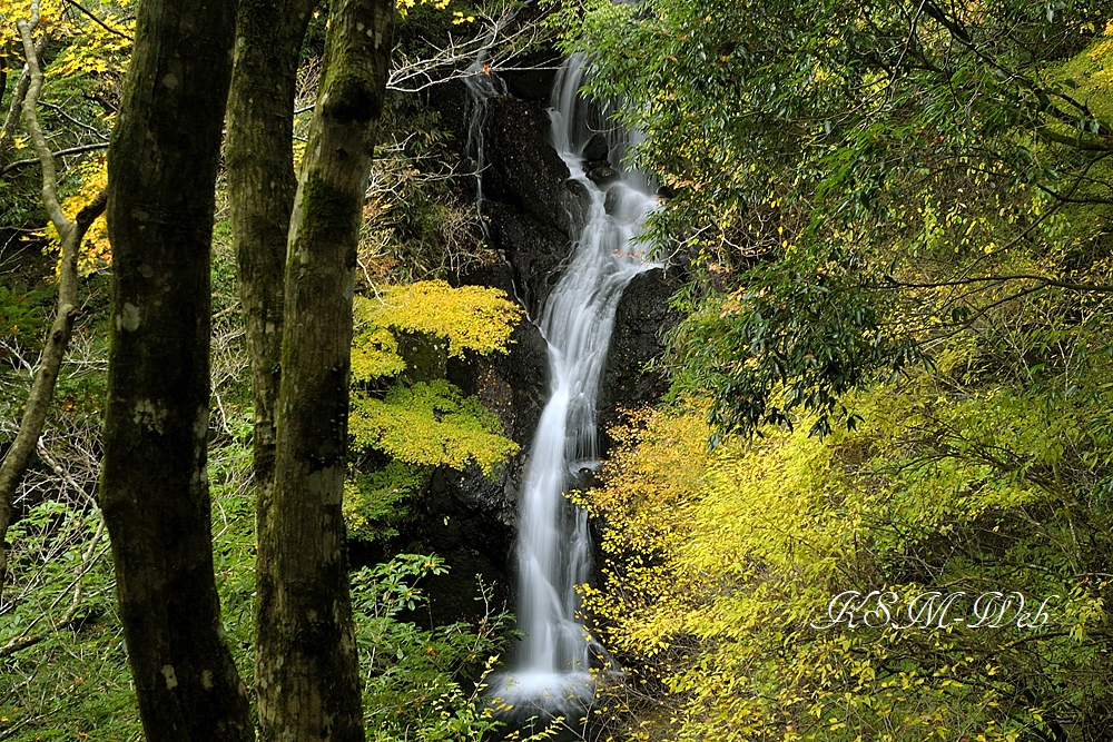 二階滝