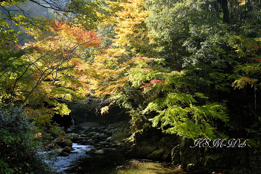 世古峡の紅葉