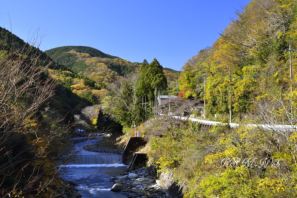 世古峡の紅葉