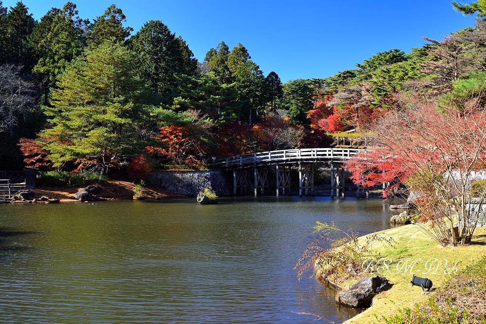 虹の郷の紅葉