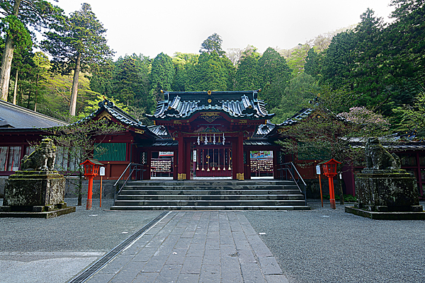 箱根神社の写真