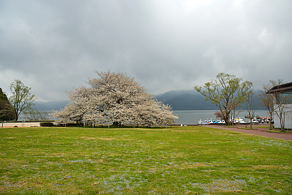 箱根園の写真