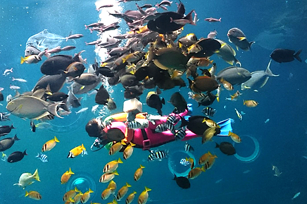 箱根水族館の写真