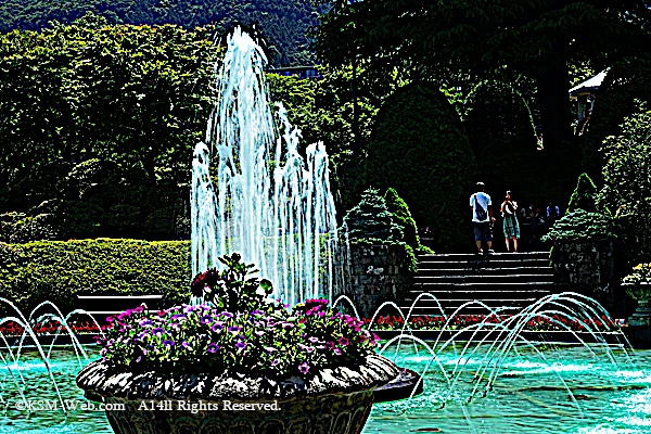 強羅公園の写真