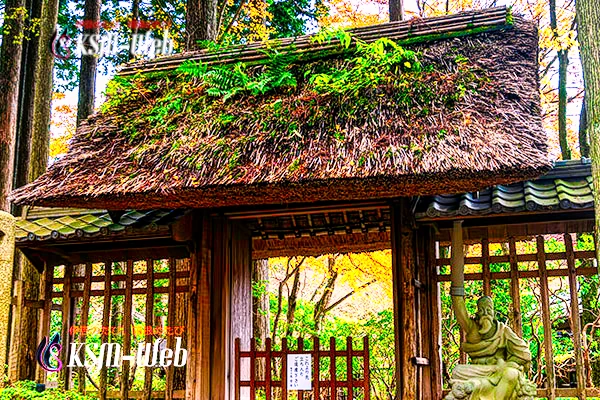 箱根長安寺の写真