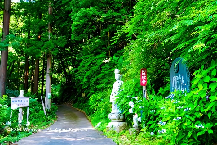 阿弥陀寺湯本側の参道