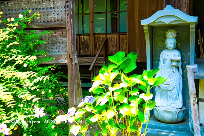 阿弥陀寺の本堂脇の石仏