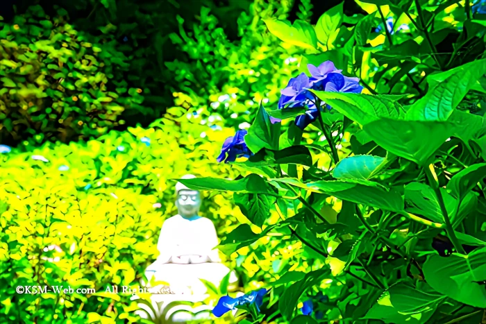 阿弥陀寺 聖観音像