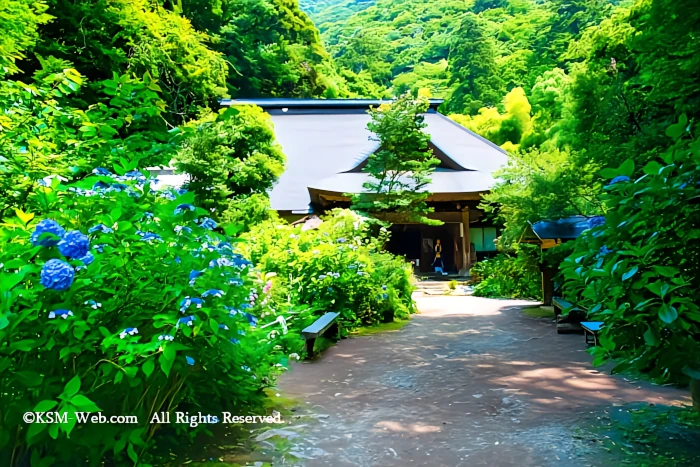 阿弥陀寺 本堂