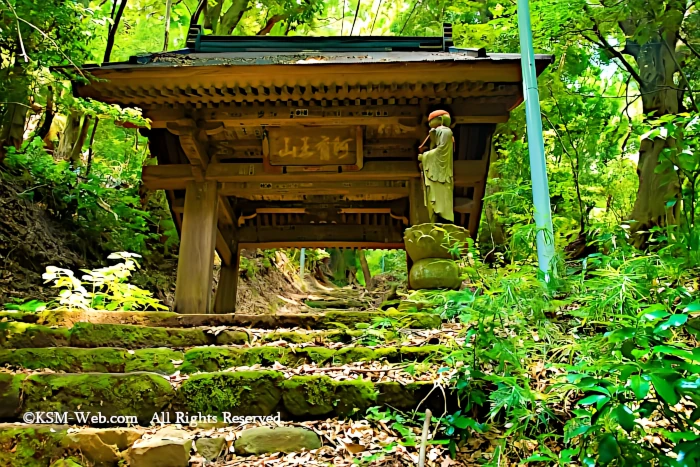 阿弥陀寺 山門