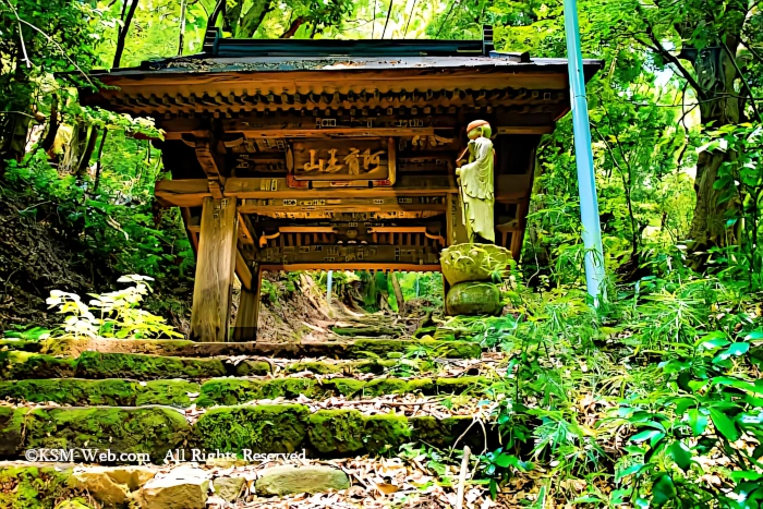 阿弥陀寺 山門