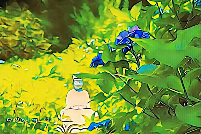 阿弥陀寺 聖観音像