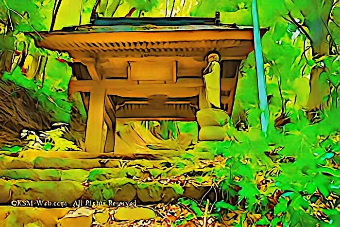 阿弥陀寺 山門