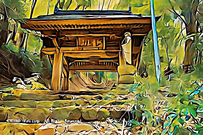阿弥陀寺 山門