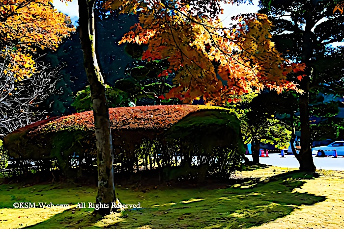 恩師箱根公園