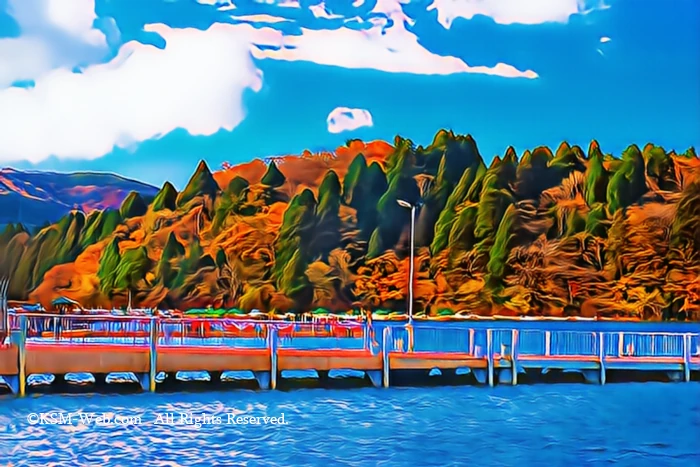 箱根芦ノ湖海賊船の桟橋の画像