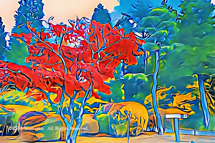 恩師箱根公園の画像