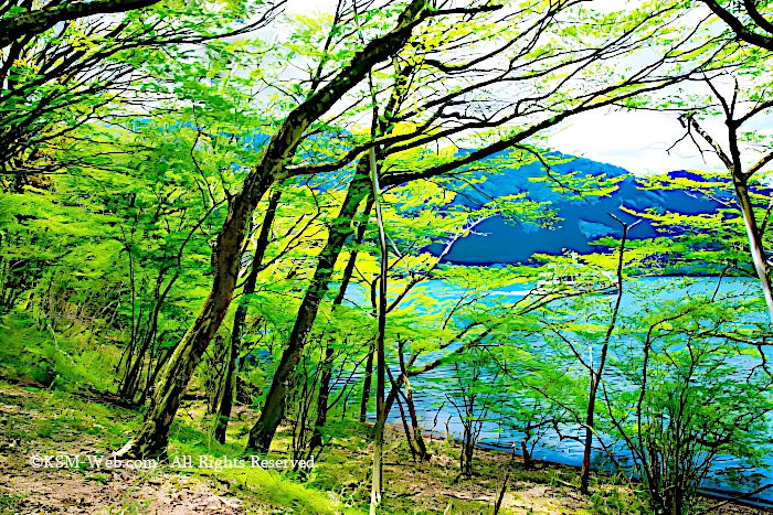 箱根駅伝記念碑