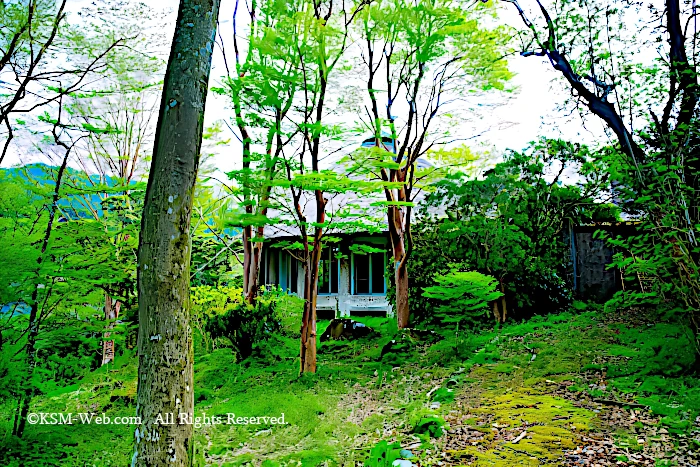 箱根九頭竜神社の桟橋