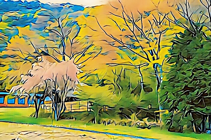箱根九頭竜神社の森