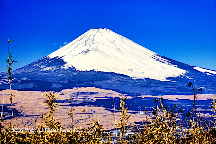 杓子峠からの富士山