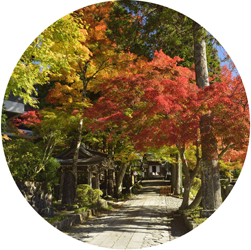 箱根長安寺の写真