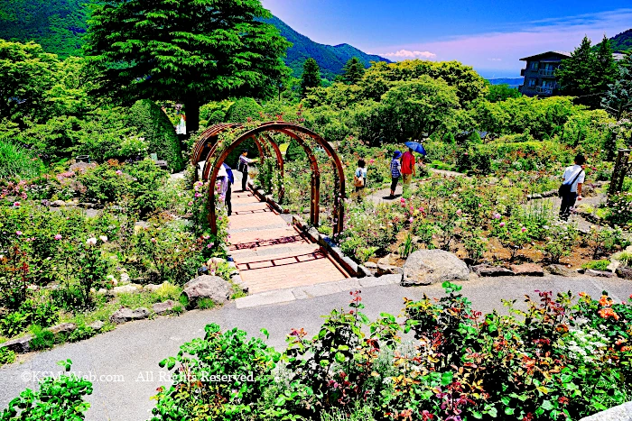 箱根強羅公園