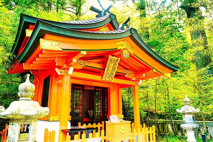 箱根神社参道