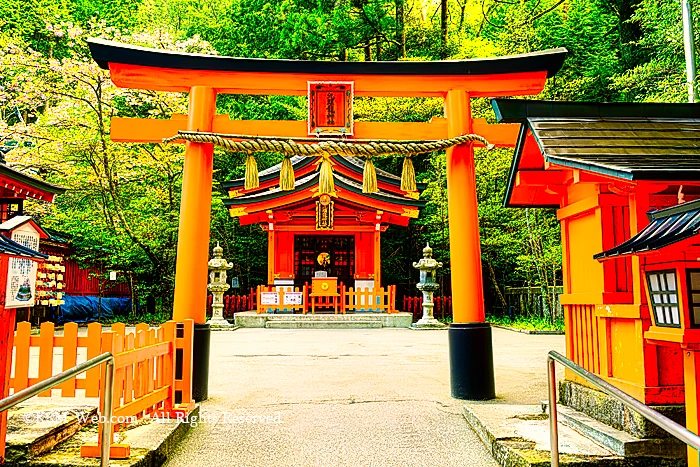 九頭龍神社新宮